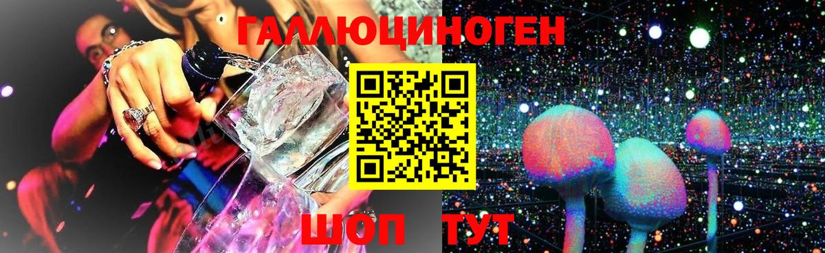 Маркс  Псилоцибиновые грибы Psilocybine cubensis  Галлюциногенные грибы Cubensis  Вход с VPN 